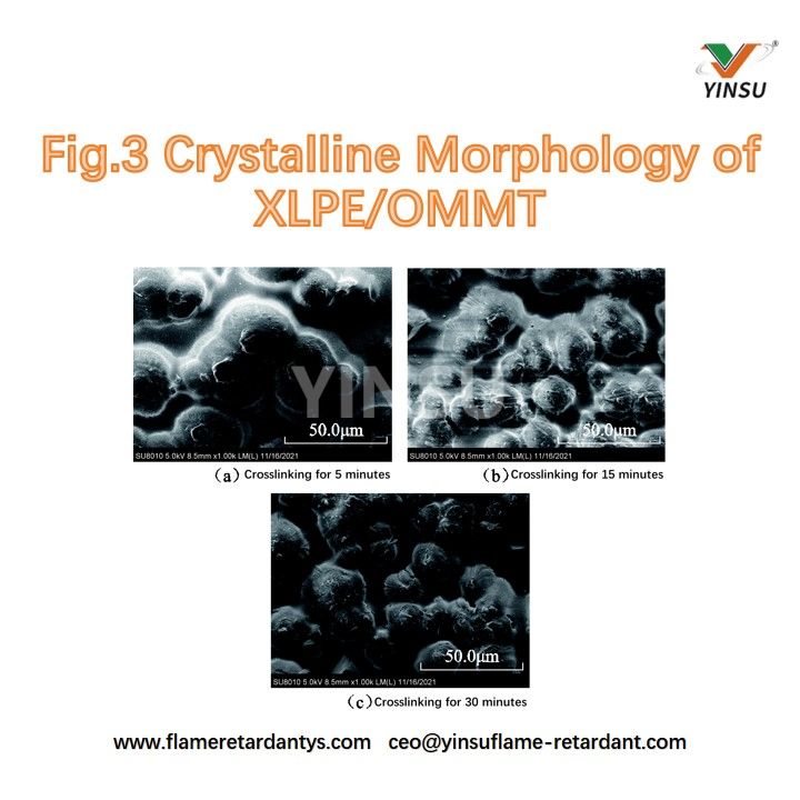 Fig.3 Morfolog&iacute;a cristalina de XLPE