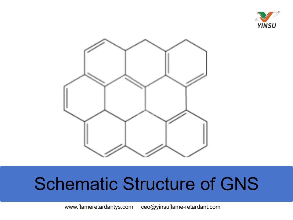 Estructura esquem&aacute;tica del GNS