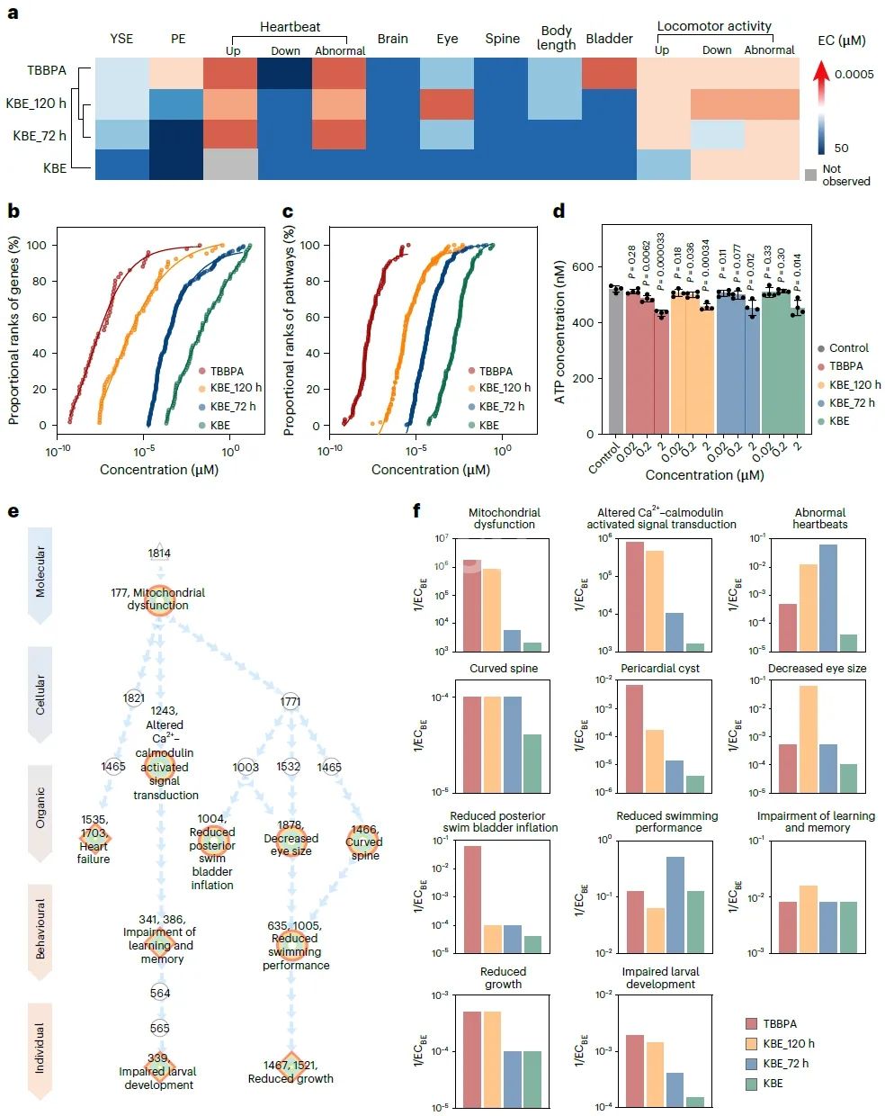 Figura 5. Toxicidad en el desarrollo embrionario del pez cebra