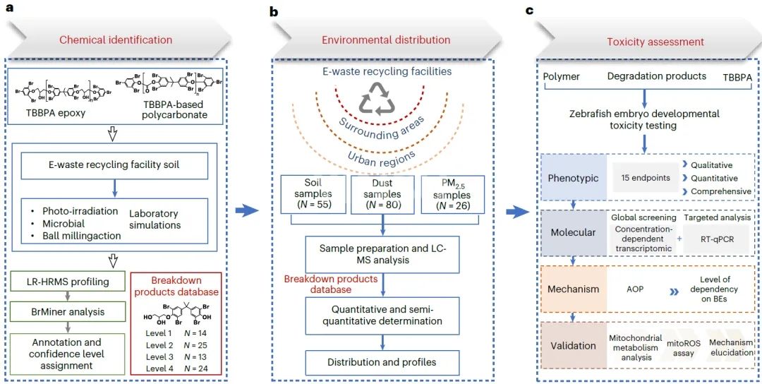 Figura 1. Investigaci&oacute;n de la degradaci&oacute;n de poliTBBPA y sus consiguientes riesgos ambientales o para la salud