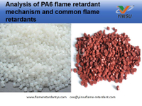 //iqrorwxhnnriln5q-static.micyjz.com/cloud/lrBprKkqlrSRqkopjonpjp/Analysis-of-PA6-flame-retardant-mechanism-and-common-flame-retardants.jpg