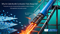 //iqrorwxhnnriln5q-static.micyjz.com/cloud/pjBprKkqlrSRmlnnpmmljm/0926-Why-Do-Cable-Bundle-Combustion-Tests-Always-Fail.jpg